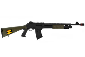 Hatsan Escort BM12 OD Green